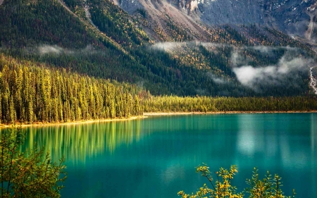 Yoho National Park - lake, trees, emerald lake, canada, mountains