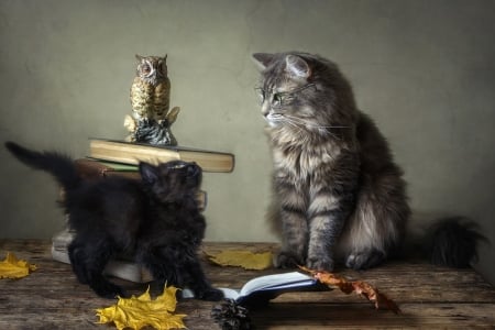 Read me a fairy tale - autumn, cat, figurine, leaf, funny, black, pisica, book, kitten, daykiney, animal, owl, cute