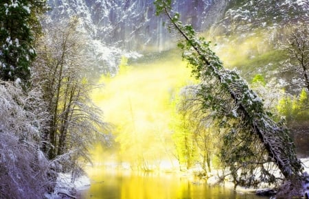 Sun Reflections in Winter - light, river, trees, colors, snow