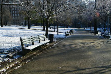 Park Street in the Winter - park street, winter, benches, snow, boston