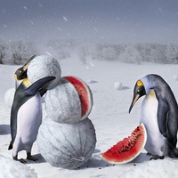 Winter Penguins