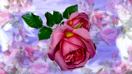 Roses - art, blue, pink, rose, flower