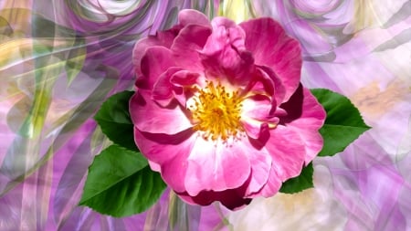 Wild rose - yellow, green, rose, flower, art, pink, wild