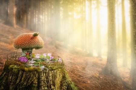 Mushroom house - mushroom, snail, forest, luminos, orange, house