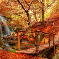 Bridge in autumn forest