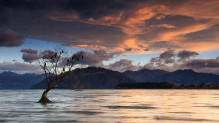 New Zealand - mood, sky, lake wanaka, 1920x1080