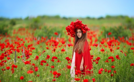 Little Girl - nature, girl, field, flowers, poppies