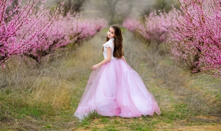 Little Girl - flowers, girl, sakura, dress