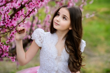 Girl - flowers, girl, sakura, dress