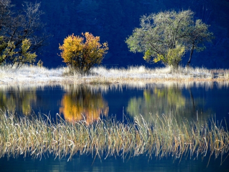 Lake - Trees, Autumn, Lake, Nature