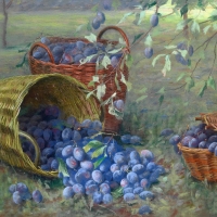 Plums
