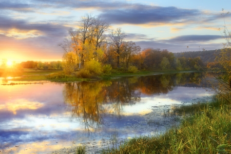 Autumn sunset - sunset, nature, tree, autumn