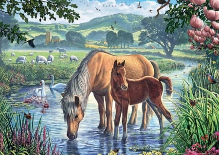 Mother an Colt - mother, colt, puzzle, creek