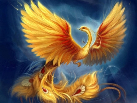 The Phoenix - bird, fire, wings, artwork