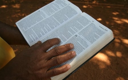 Reeding Bible - scriptures, hand, Bible, book