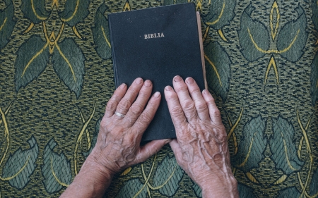 Bible and Hands - hands, photo, Bible, book