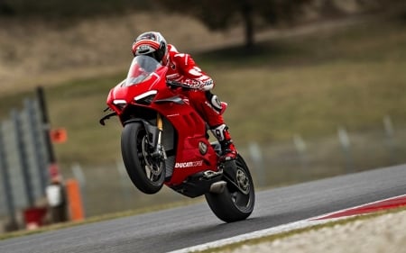 V4 R in action - panigale, moto, v4 r, ducati