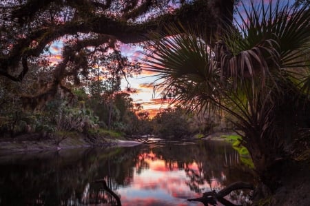 Econlockhatchee River - fun, sunset, nature, Econlockhatchee River, forest, cool