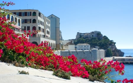 Gibraltar Landscape - flowers, coast, houses, Gibraltar