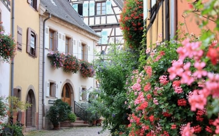 Yard in France - flowers, yard, France, houses