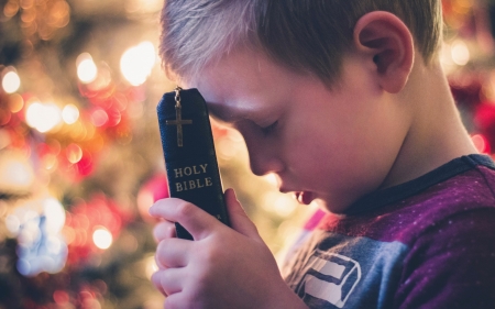 Praying Boy with Bible - cross, prayer, bible, boy