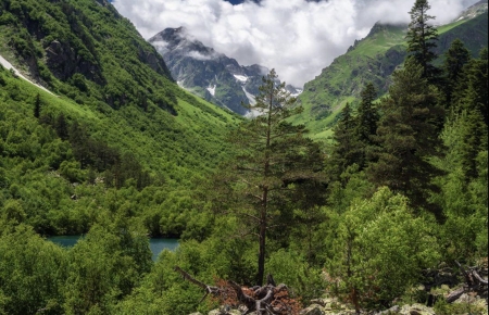 Our planet - green, tree, mountain, cloud