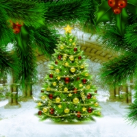 Christmas Grotto