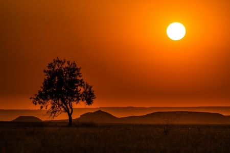 â¤ï¸ - horizon, hill, landscape, tree, sunset