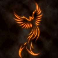 Rising of the phoenix