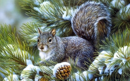 :-) - pine cones, fir, squirrel, snow