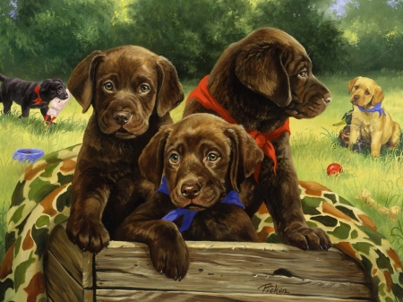 Young Dogs - paint, dogs, young, brown