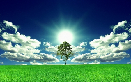 Lonely Tree - Grass, Nature, Tree, Clouds, Green