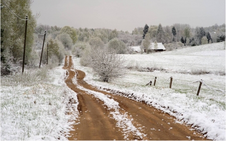 First Snow in Svente, Latvia - Latvia, trees, fields, road, landscape, snow