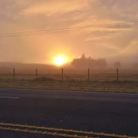 Waikato Sunrise