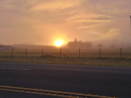 Waikato Sunrise - sunrise, fog, waikato, new zealand