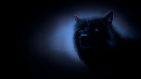 Wolf - lup, frumusete, black, fantasy, wolf, dark, luminos, red, blue