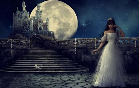 CINDERELLA - slipper, moon, cinderella, castle, night, dress