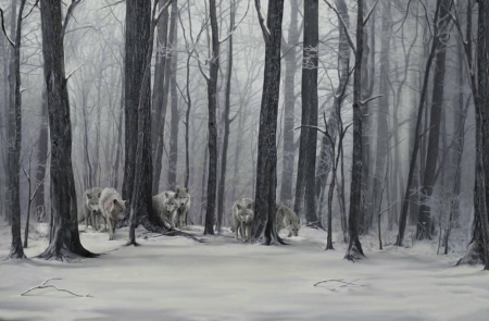 WOLVES IN THE SNOW - WOLVES, FOREST, SNOW, WINTER