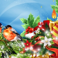 Finches Holiday