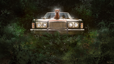 King of the jungle - vulpe, king, fantasy, fox, art, car, luminos, jungle, alex dhiga