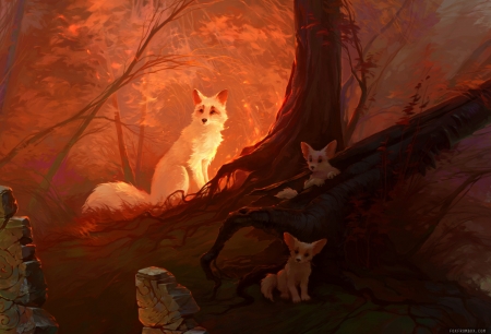 Red magic forest - stone, red magic forest, vulpe, cub, fox, orange, alina ivanchenko, fantasy, sunset, cute, art, luminos