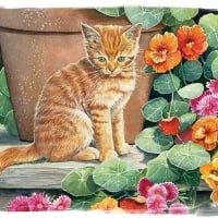 cats-feline-cat-pet-animal-art-painting-ginger-bourdet-artwork-nasturtiums-susan-stock-images