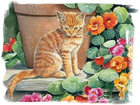 cats-feline-cat-pet-animal-art-painting-ginger-bourdet-artwork-nasturtiums-susan-stock-images - blume, deutschland, cats, vase