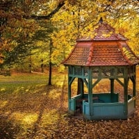 Gazebo in Autumn Park