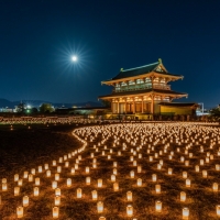 Nara Park