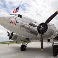 The Bluebonnet Belle - Proudly Flying the Flag