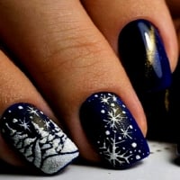 Snow Nail Art