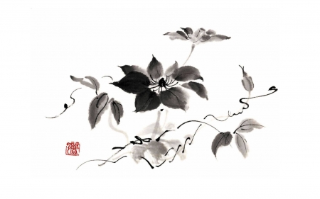 Clematis - chinese art, art, clematis, bw, asian, flower