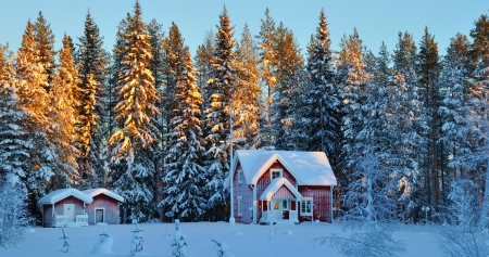 Winter houses - winter, trees, houses, snow