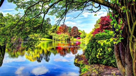 Sheffield Park,England - lake, pond, natre, trees, park